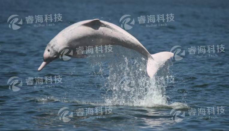 微信圖片_20250227103415